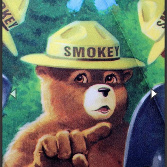 Smokey The Bear Bandana Prevent Wildfires Mandala Forest Woods Scarf - Picture 7 of 8